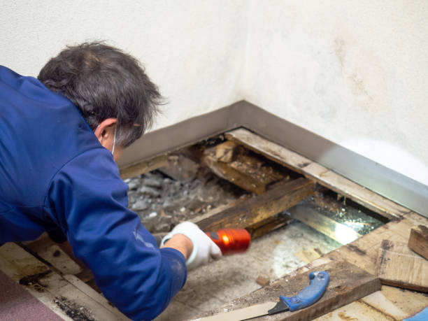 Best Mold Testing  in Gervais, OR