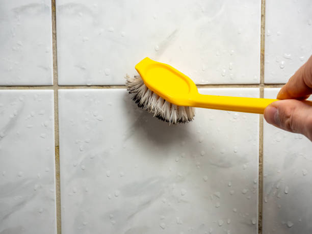 Best Mold Removal and Inspection  in Gervais, OR