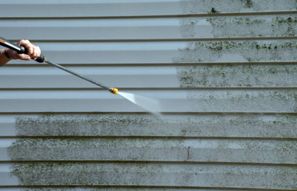 Certified Mold Removal in Gervais, OR
