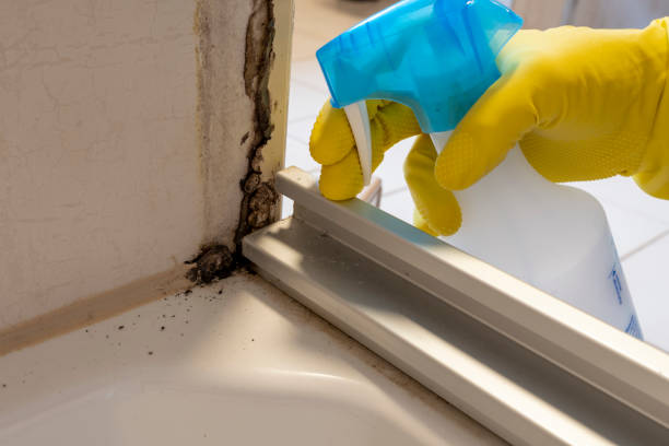 Best Mold Testing  in Gervais, OR