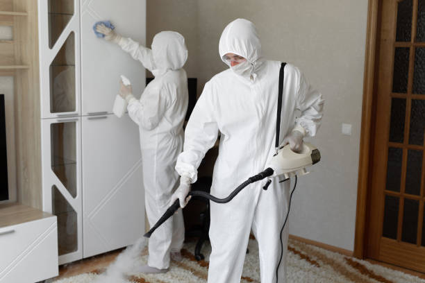 Best Mold Cleaning Services  in Gervais, OR