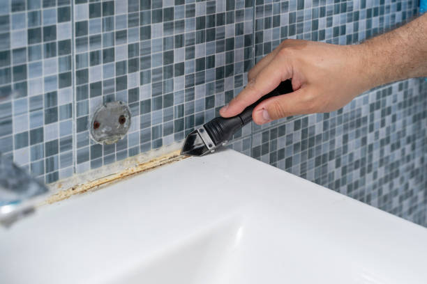 Best Mold Removal Company Near Me  in Gervais, OR