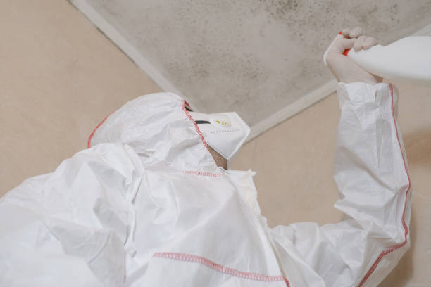 Best Mold Removal Process  in Gervais, OR